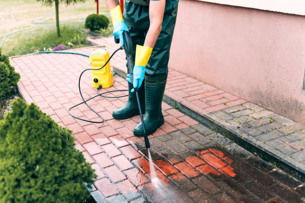 Best Roof Washing  in De Pue, IL